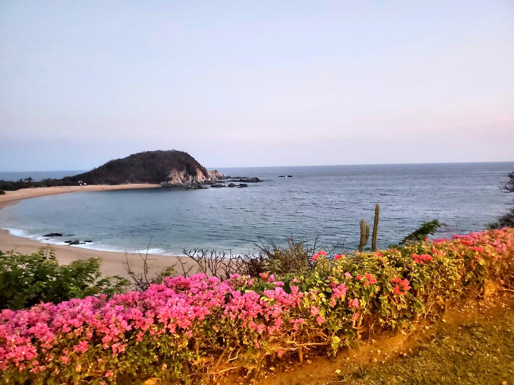 View from Castaways Restaurant at Secrets Huatulco Resort & Spa
